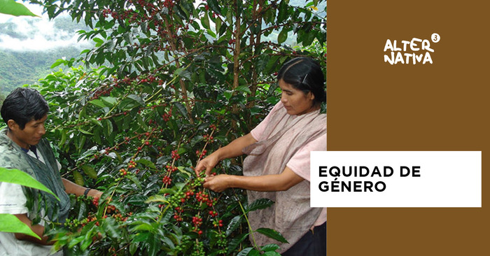 principiocomerciojusto3