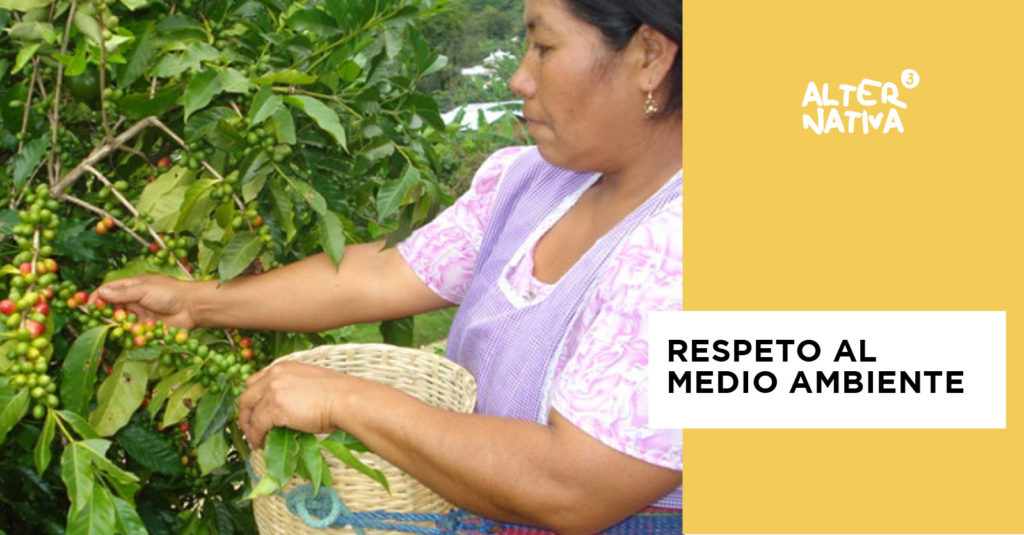 principiocomerciojusto4