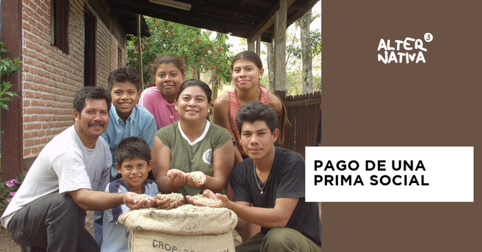 principiocomerciojusto9