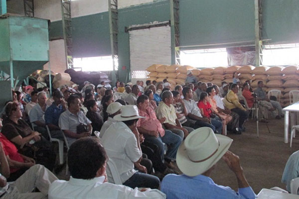 Apovinces, Asociación de productores orgánicos de Vinces