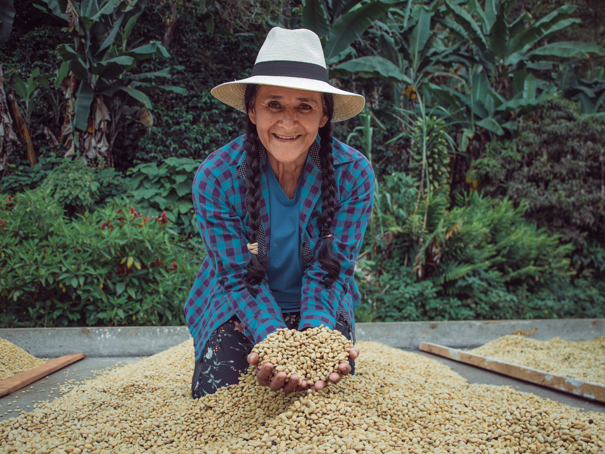 mujeres trabajando en cooperativa o cultivos de productos Comercio Justo