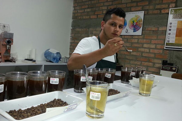 CENCOIC. Central Coop. Indígena del Cauca