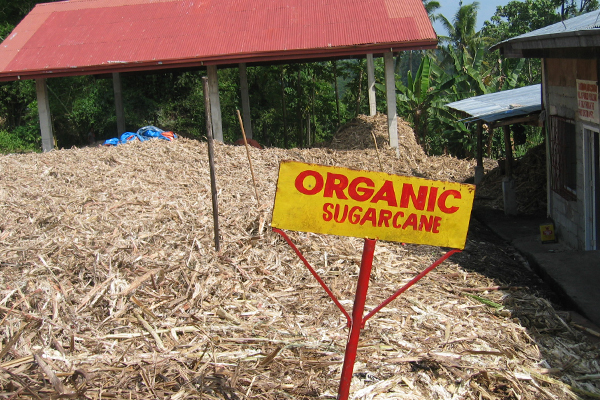 azucar de caña Pitafa