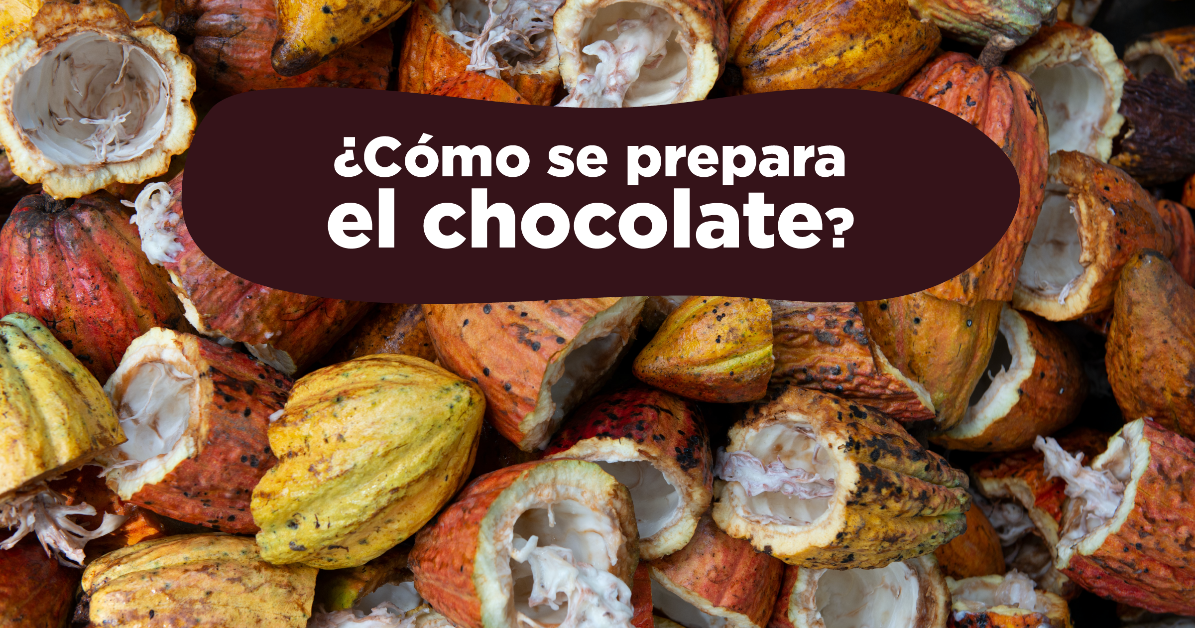 DEL CACAO AL CHOCOLATE LISTO PARA COMPRAR