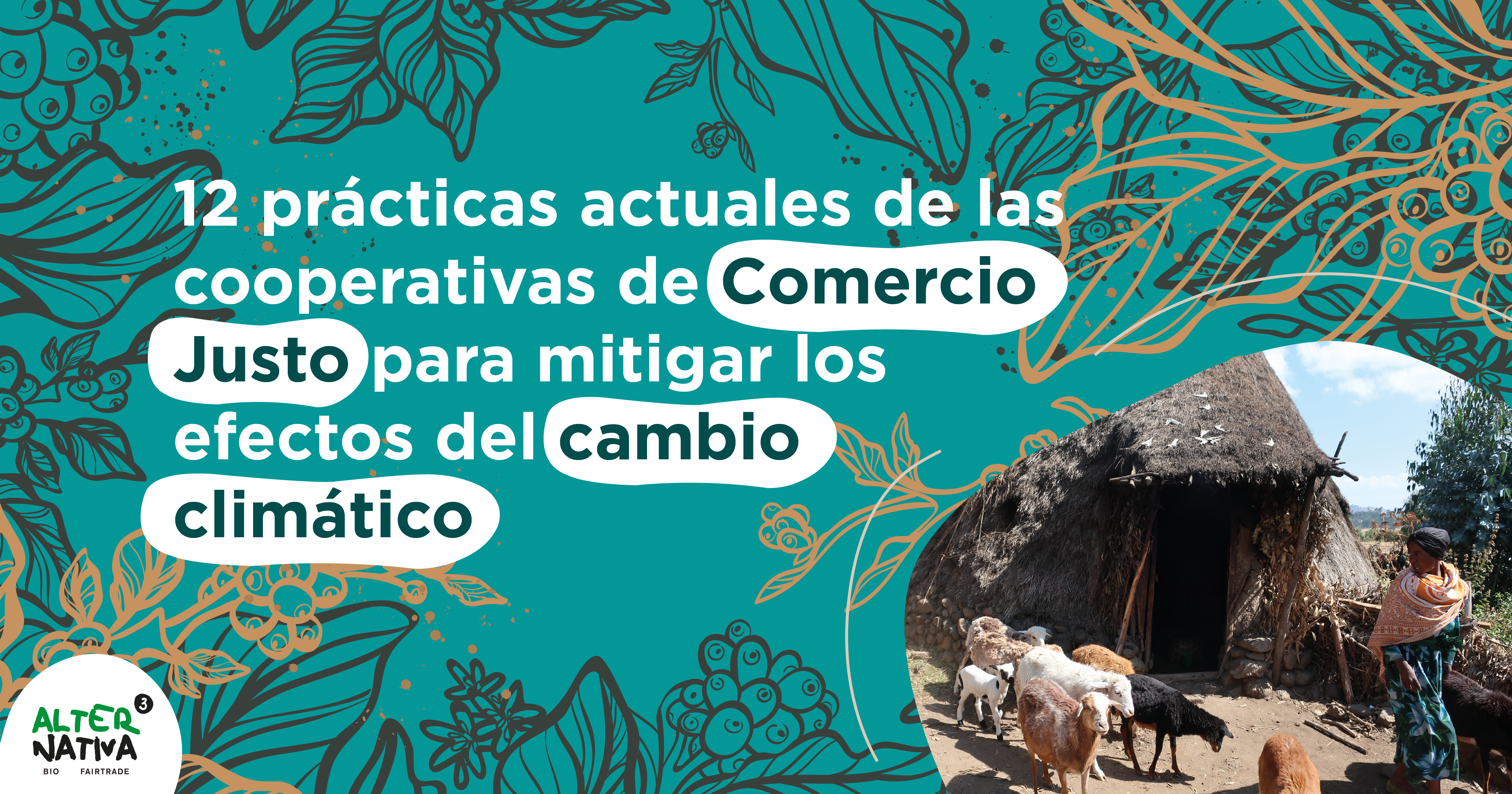 12 prácticas actuales de las cooperativas de Comercio Justo para mitigar los efectos del cambio climático