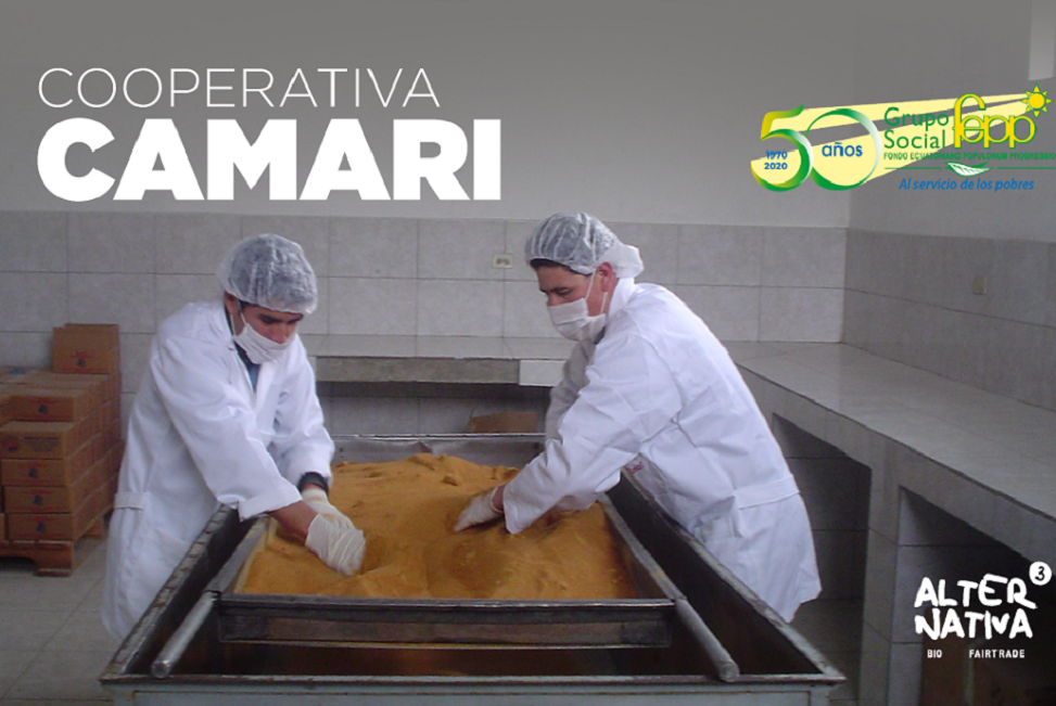El FEPP, al que pertenece nuestra cooperativa de Comercio Justo Camari, cumple 50 años