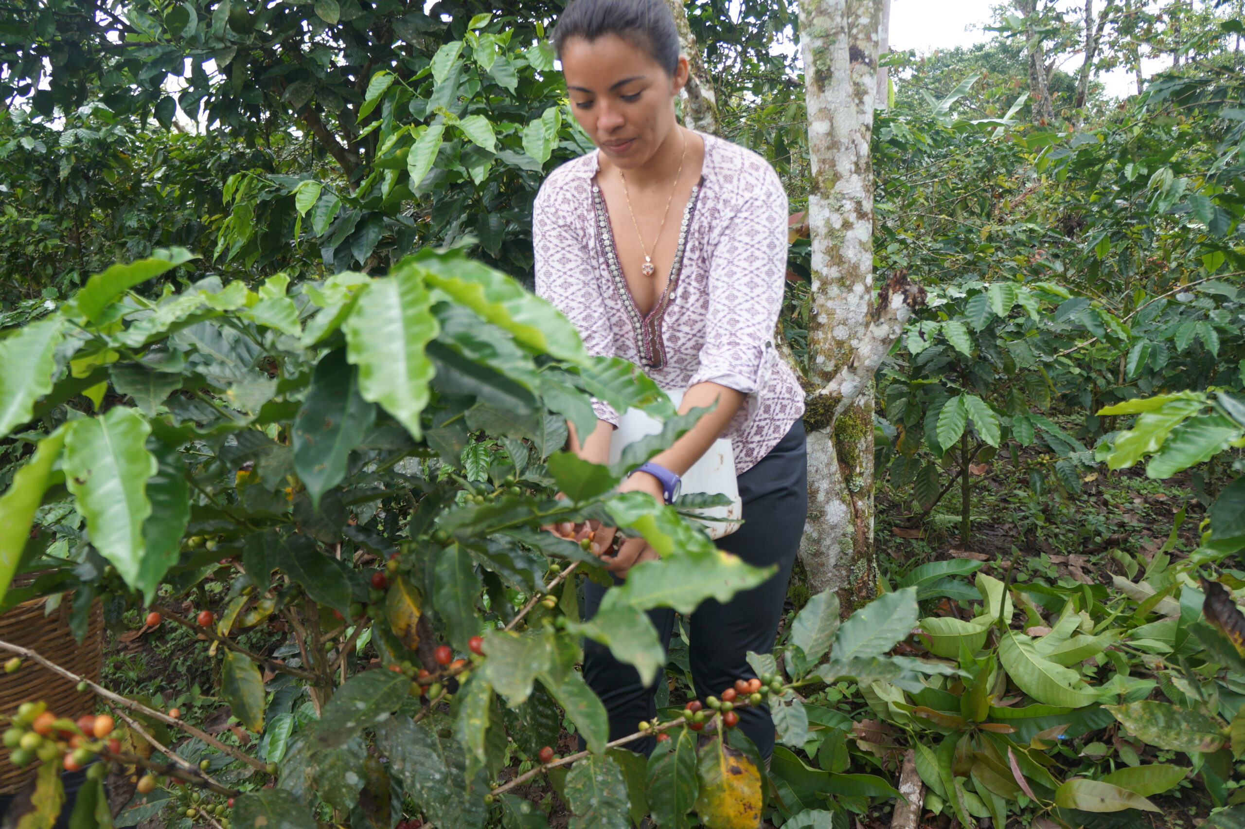 Día Mundial contra la Desertificación y la Sequía