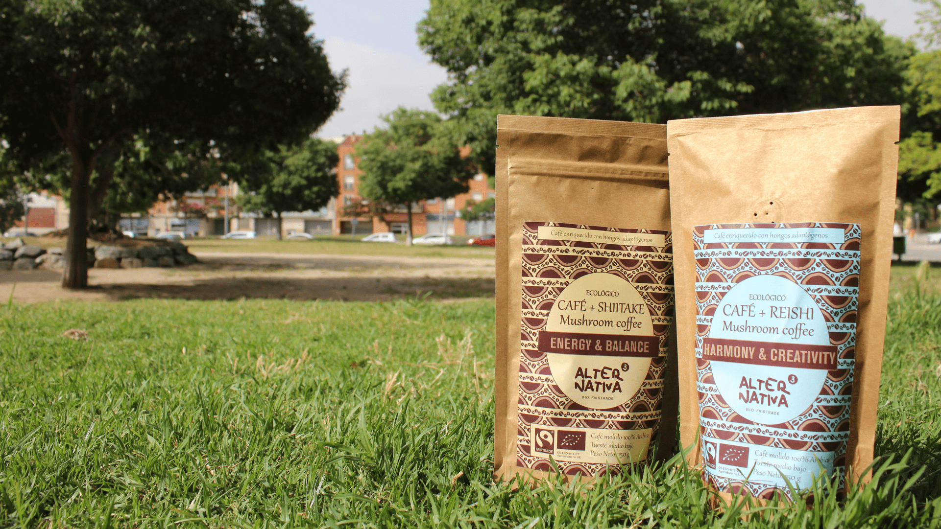 Beneficios de los hongos adaptógenos en tu café