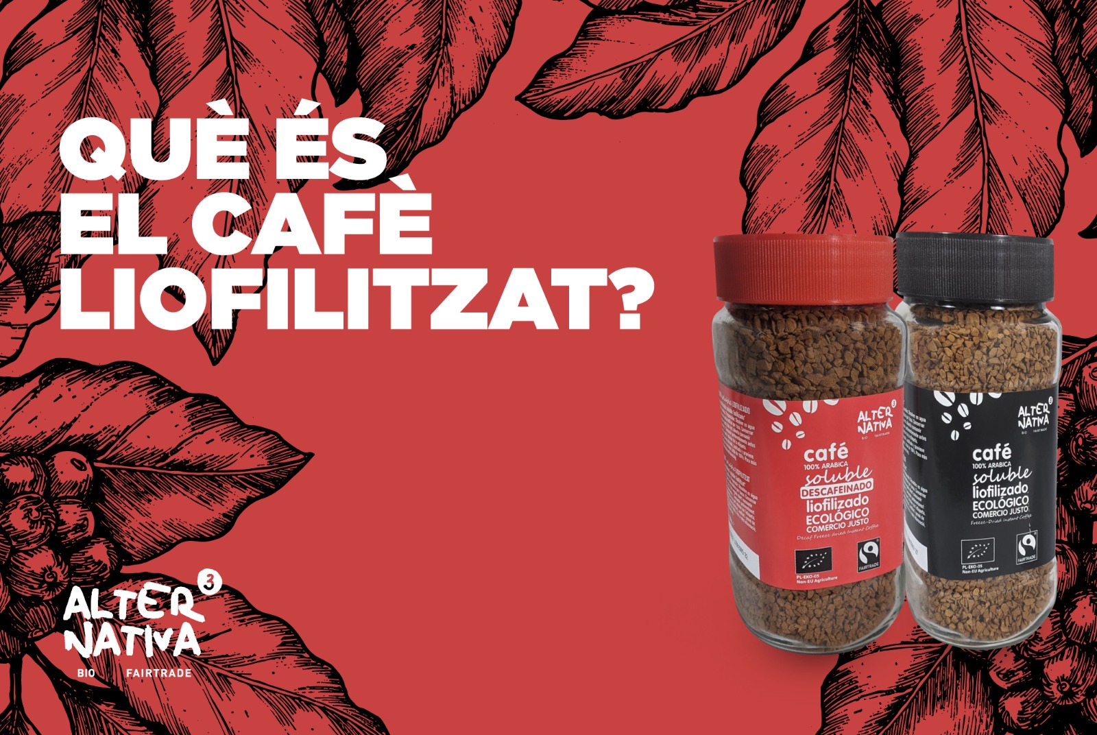 cafè liofilitzat