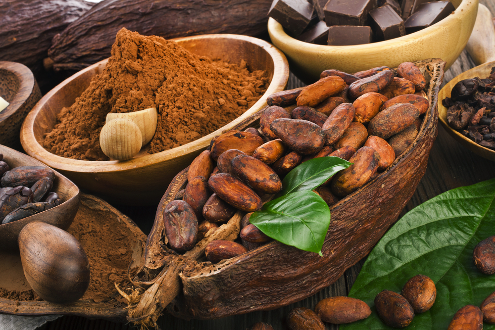 Conoce los beneficios del cacao