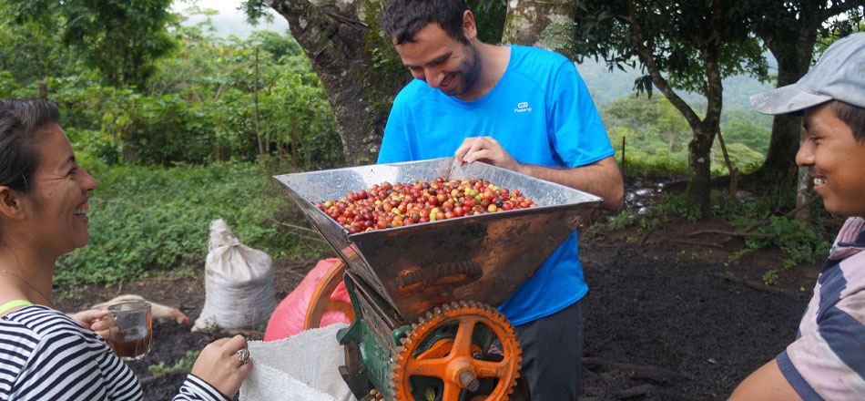productoras de café