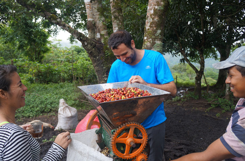 productoras de café