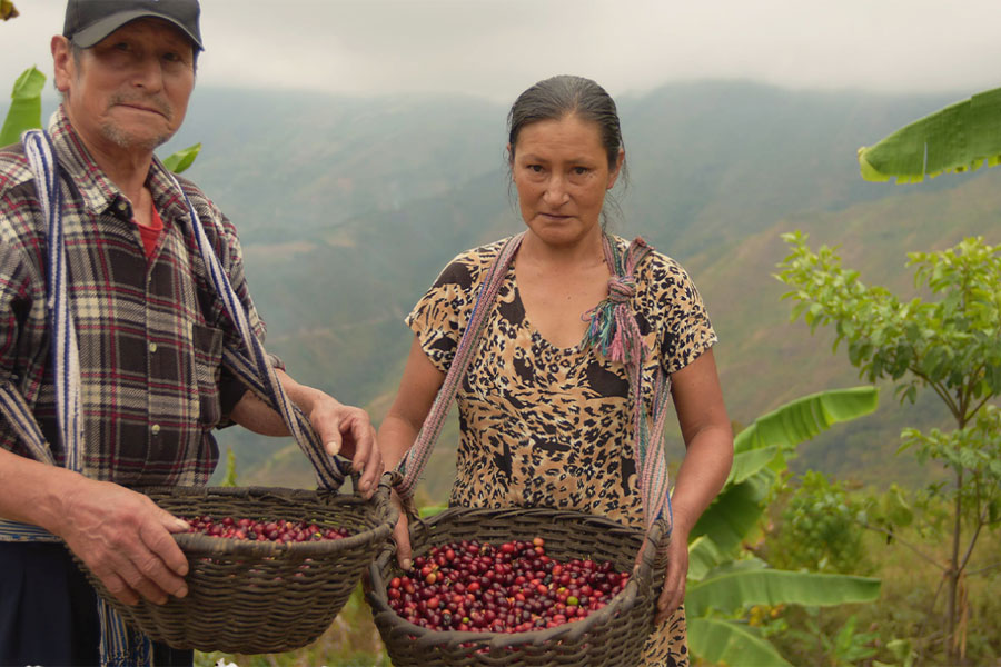 cooperativa perú laguna de los condores
