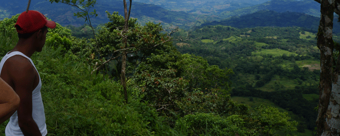 Día Mundial del Medio Ambiente