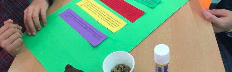 Launch of the “Xarxa Escoles pel Comerç Just” project